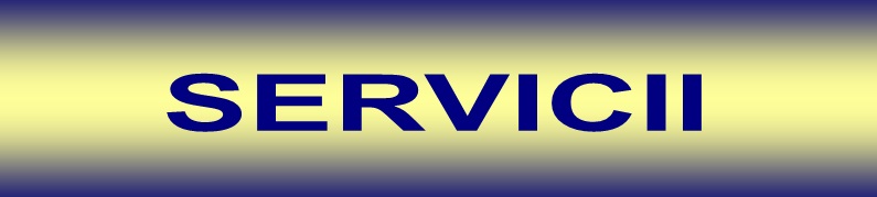 servicii